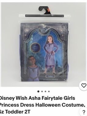 Disney Asha Purple and Gold Princess Dress Costume